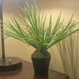 Artificial Green Plant in Black Pot